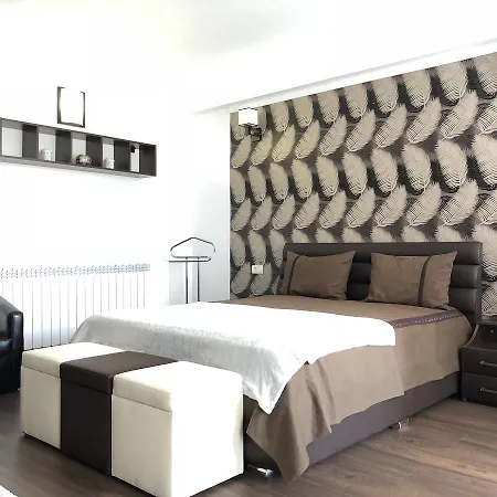 Vlaicu Apartment *