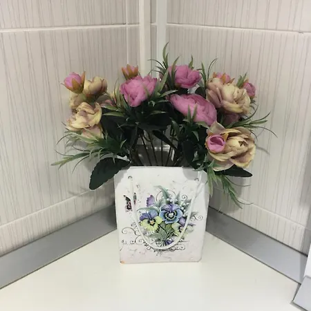 Apartment Vlaicu Constanta