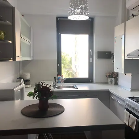 Vlaicu Apartment