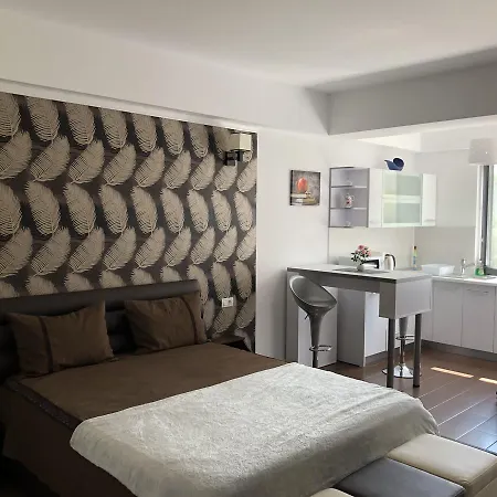 Vlaicu Apartment Constanta